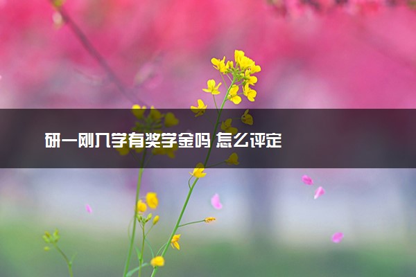 研一刚入学有奖学金吗 怎么评定