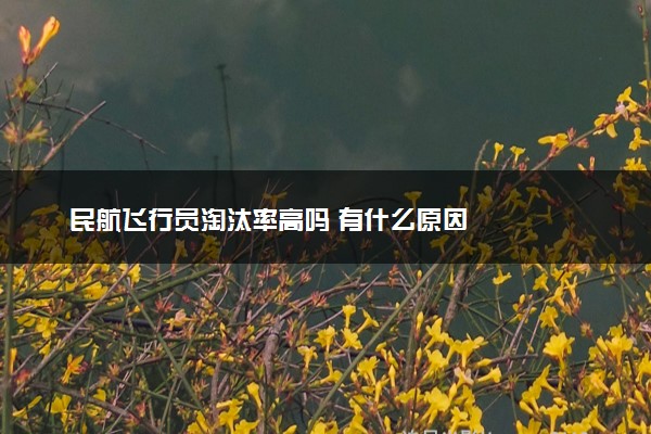 民航飞行员淘汰率高吗 有什么原因