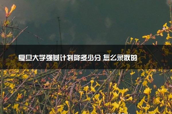 复旦大学强基计划降多少分 怎么录取的