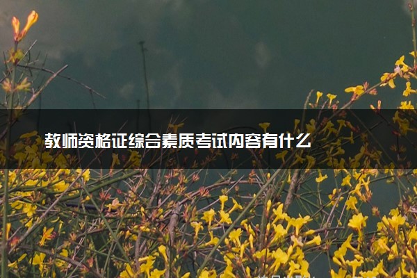 教师资格证综合素质考试内容有什么