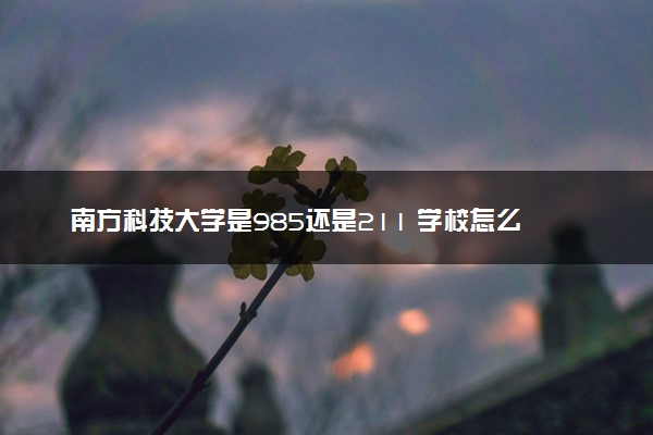 南方科技大学是985还是211 学校怎么样