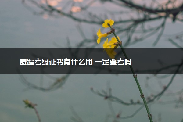 舞蹈考级证书有什么用 一定要考吗