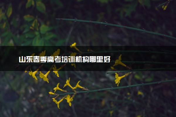 山东春季高考培训机构哪里好