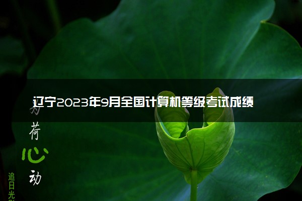 辽宁2023年9月全国计算机等级考试成绩查询时间及入口