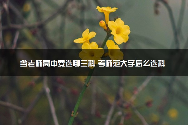 当老师高中要选哪三科 考师范大学怎么选科