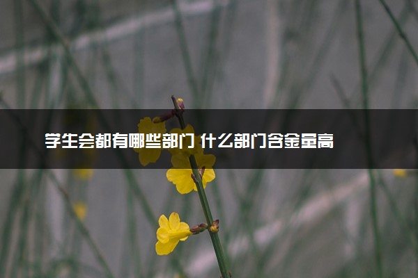 学生会都有哪些部门 什么部门含金量高