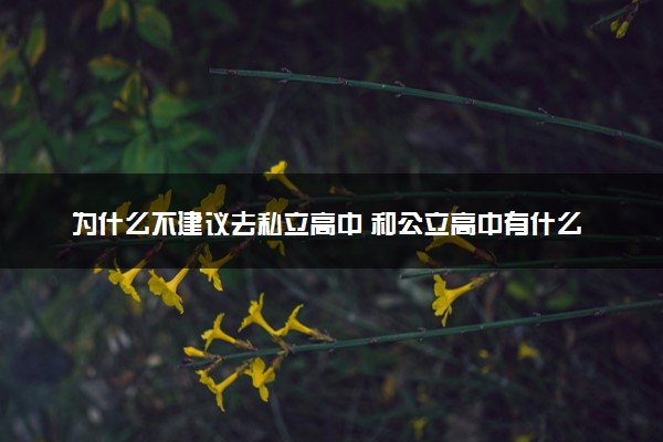 为什么不建议去私立高中 和公立高中有什么不同