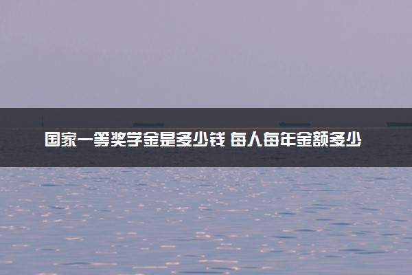 国家一等奖学金是多少钱 每人每年金额多少