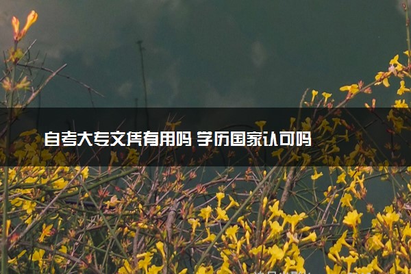 自考大专文凭有用吗 学历国家认可吗