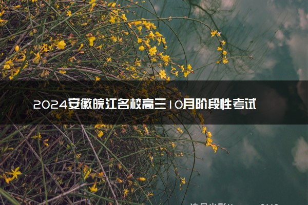 2024安徽皖江名校高三10月阶段性考试各科试题及答案汇总