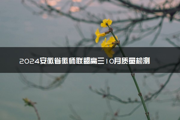 2024安徽省徽师联盟高三10月质量检测卷各科试题及答案汇总