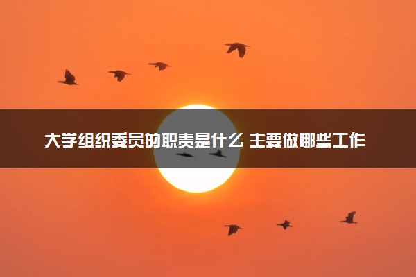 大学组织委员的职责是什么 主要做哪些工作