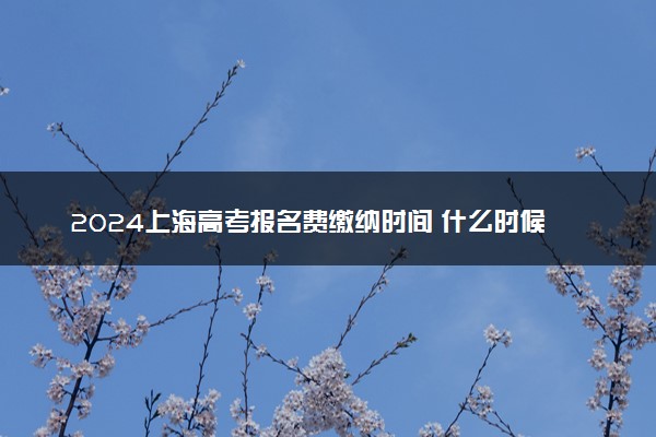 2024上海高考报名费缴纳时间 什么时候缴纳