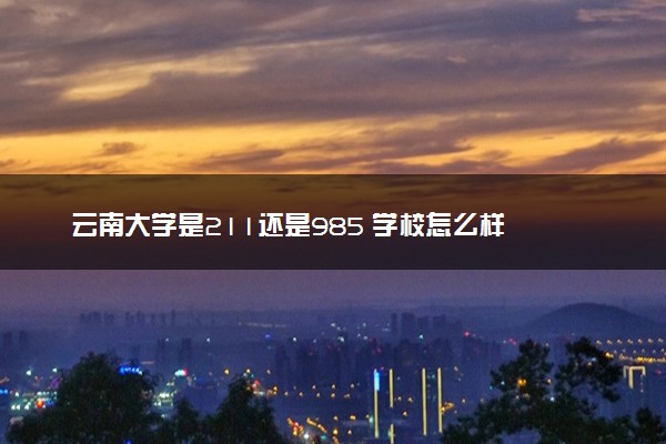 云南大学是211还是985 学校怎么样