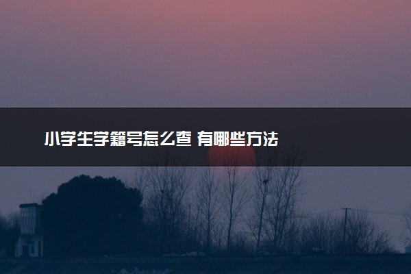 小学生学籍号怎么查 有哪些方法