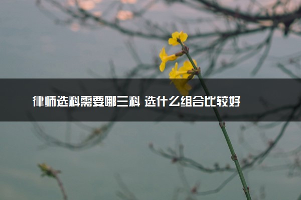 律师选科需要哪三科 选什么组合比较好