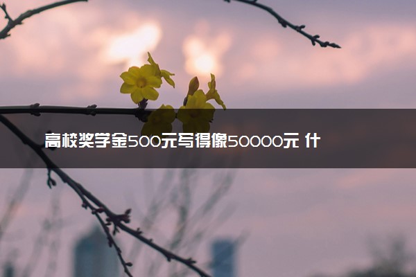 高校奖学金500元写得像50000元 什么情况