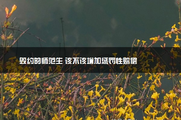 毁约的师范生 该不该增加惩罚性赔偿