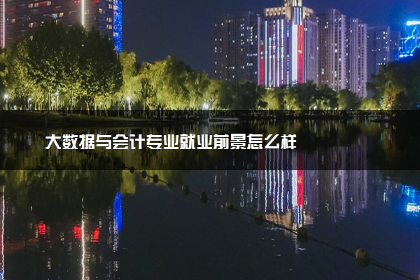 大数据与会计专业就业前景怎么样