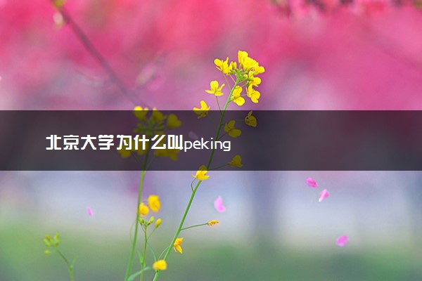 北京大学为什么叫peking