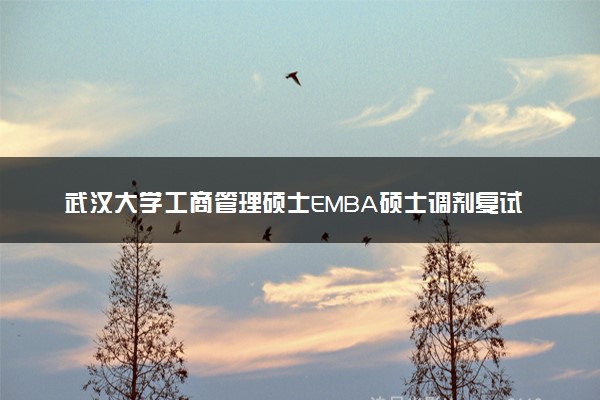 武汉大学工商管理硕士EMBA硕士调剂复试分数线2023