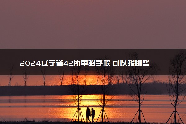 2024辽宁省42所单招学校 可以报哪些院校