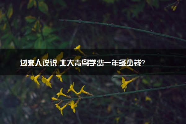 过来人说说：北大青鸟学费一年多少钱？