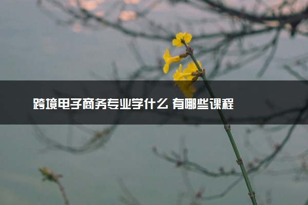 跨境电子商务专业学什么 有哪些课程