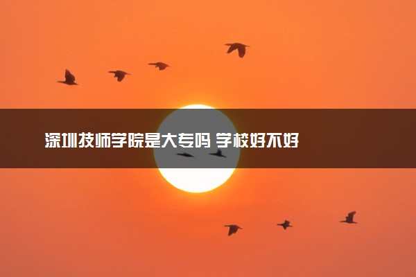 深圳技师学院是大专吗 学校好不好