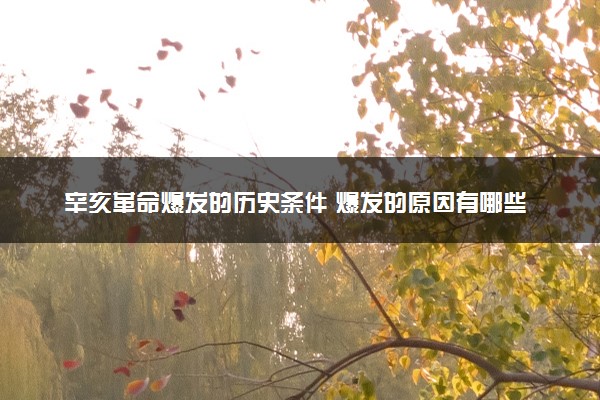 辛亥革命爆发的历史条件 爆发的原因有哪些