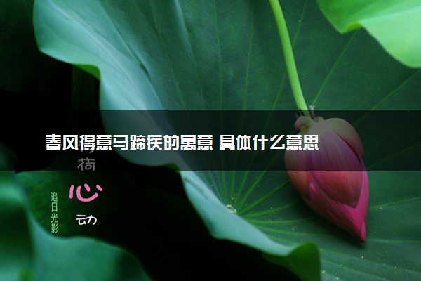 春风得意马蹄疾的寓意 具体什么意思