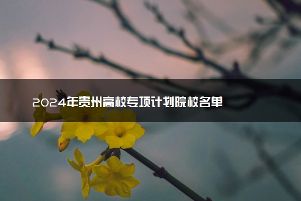 2024年贵州高校专项计划院校名单