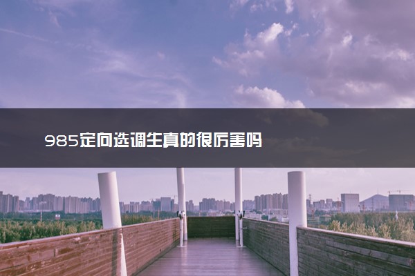 985定向选调生真的很厉害吗