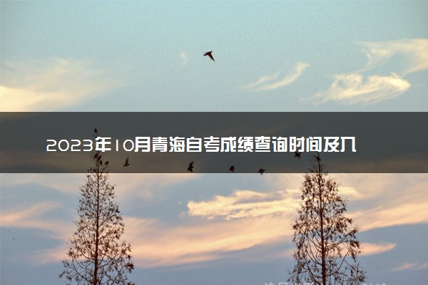 2023年10月青海自考成绩查询时间及入口 多久出分