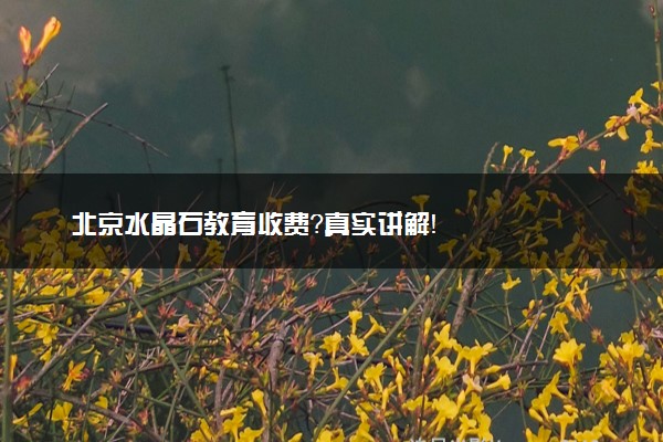 北京水晶石教育收费？真实讲解！