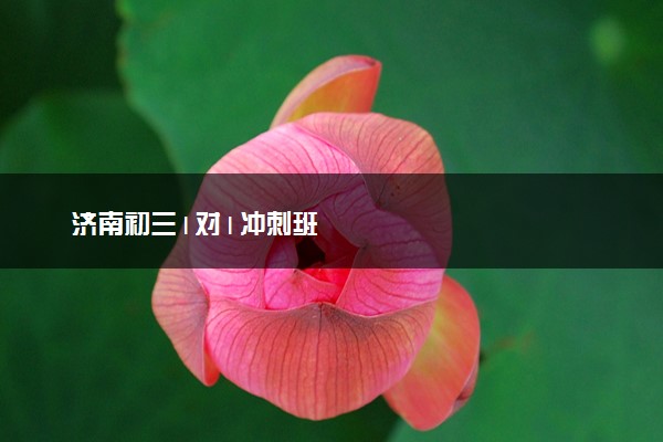 济南初三1对1冲刺班