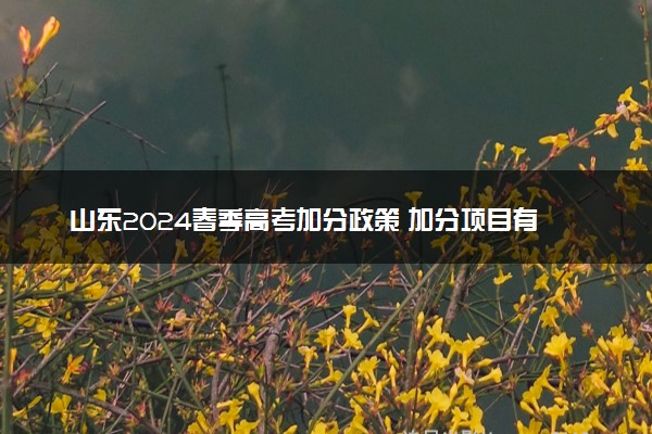山东2024春季高考加分政策 加分项目有哪些
