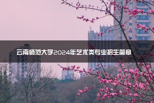 云南师范大学2024年艺术类专业招生简章