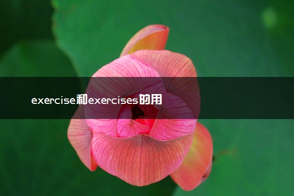 exercise和exercises的用法