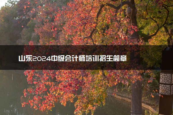 山东2024中级会计师培训招生简章