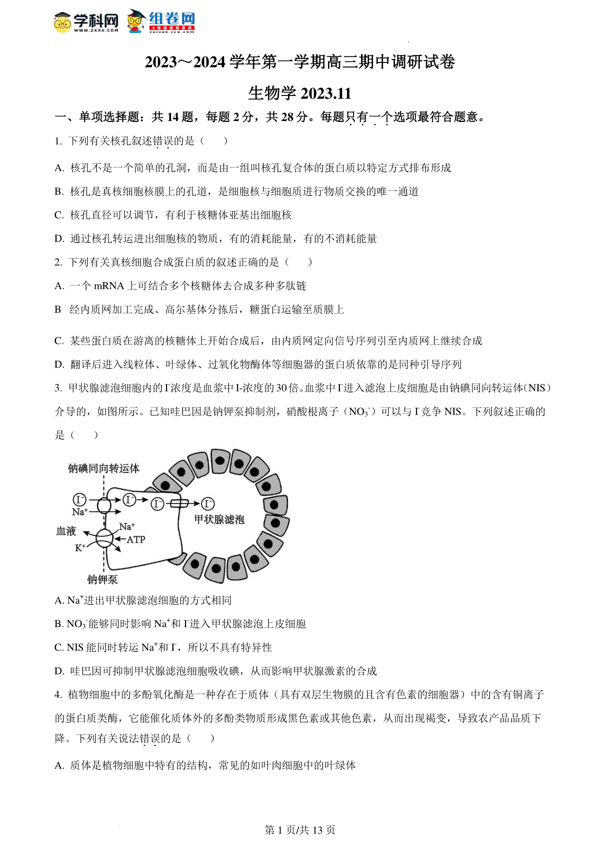 精品解析：江苏省苏州市2023-2024学年高三上学期期中调研生物试题（原卷版）