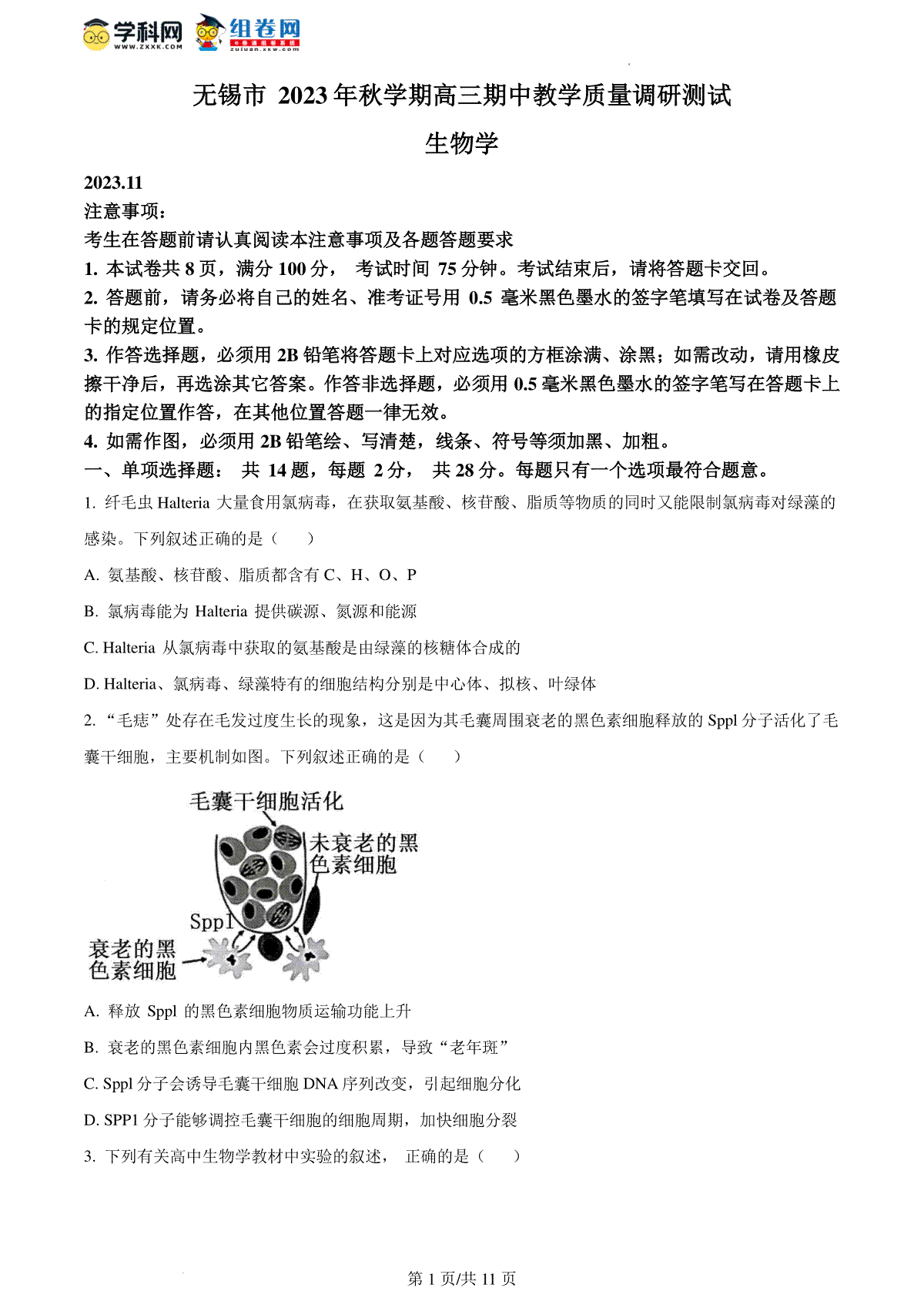 精品解析：江苏省无锡市2023-2024学年高三上学期期中教学质量调研测试生物试题（原卷版）
