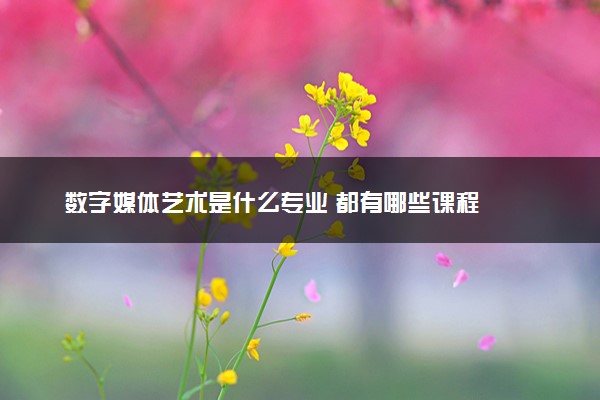 数字媒体艺术是什么专业 都有哪些课程