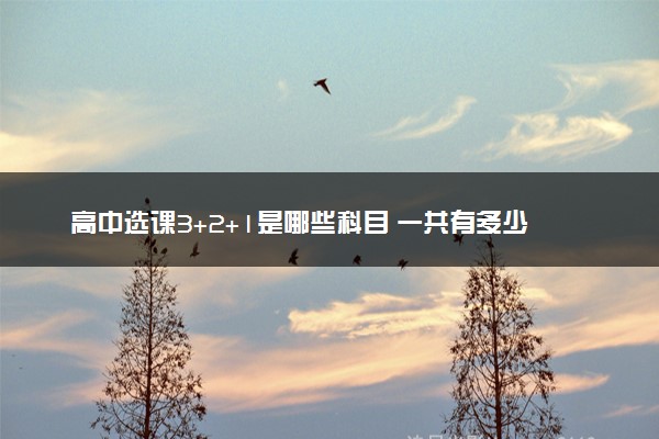 高中选课3+2+1是哪些科目 一共有多少选科组合