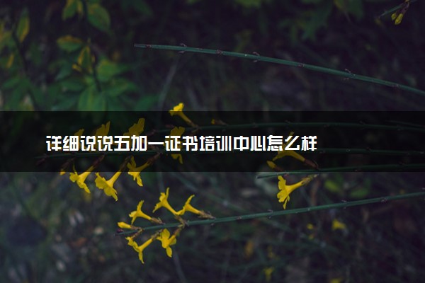 详细说说五加一证书培训中心怎么样