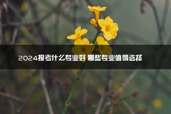2024报考什么专业好 哪些专业值得选择