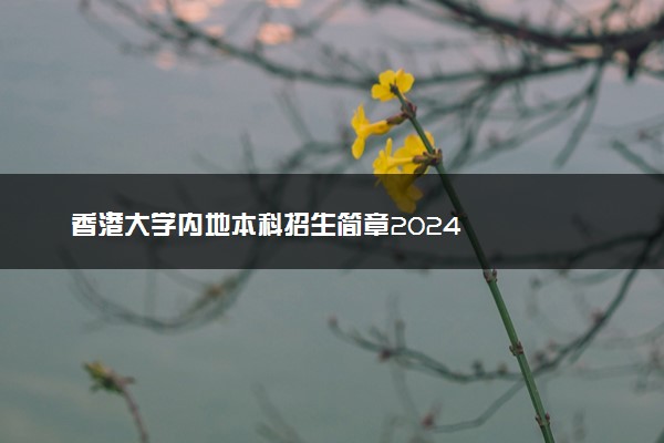 香港大学内地本科招生简章2024