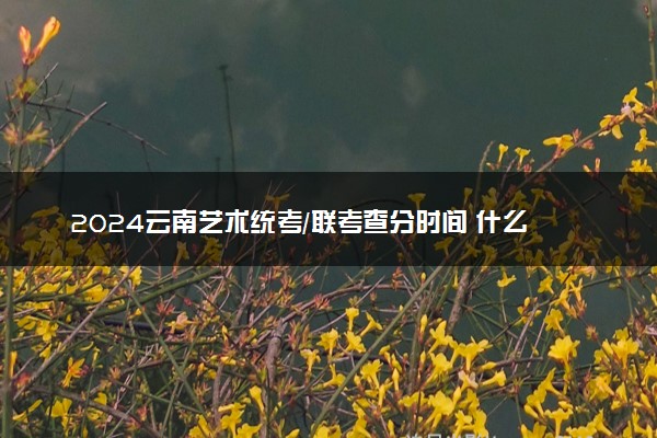 2024云南艺术统考/联考查分时间 什么时候公布成绩