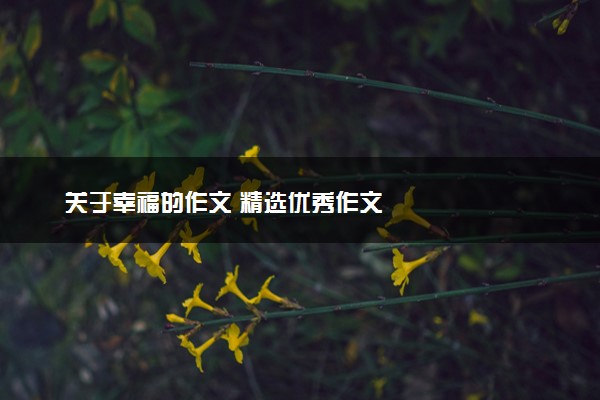 关于幸福的作文 精选优秀作文