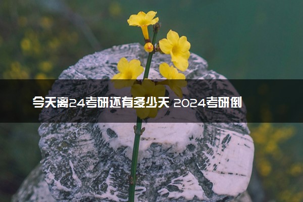 今天离24考研还有多少天 2024考研倒计时器
